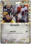 troy polamalu