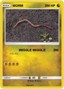 WORM