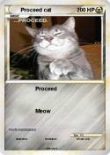 Proceed cat