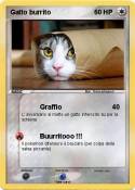 Gatto burrito