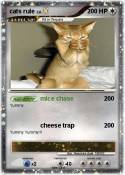 cats rule