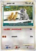 pistol cat