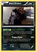Black Shadow