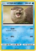 OTTER INIT BRUV