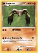 Mr. Eagle