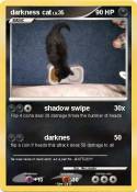 darkness cat