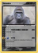 Harambe Harambe