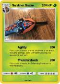 Gardiner Snake