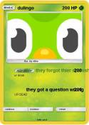 dulingo