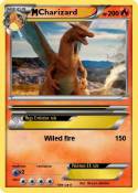 Charizard Charizard