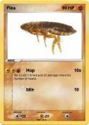 Flea