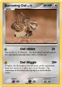 Burrowing Owl