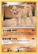 Spitz