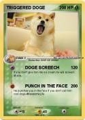 TRIGGERED DOGE