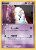 Butschi