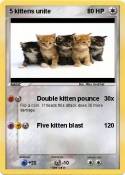 5 kittens unite