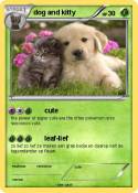 dog and kitty
