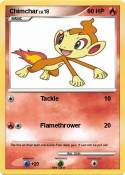 Chimchar