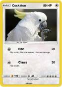 Cockatoo