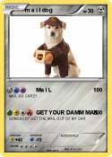 m a i l dog