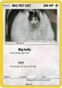 BIG FAT CAT