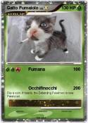 Gatto Fumaiolo