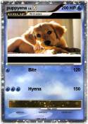 puppyena