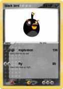 black bird