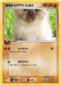  AWW KITTY!!