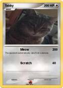 Tabby