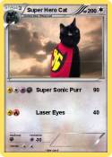 Super Hero Cat