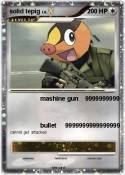 solid tepig