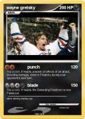 wayne gretsky