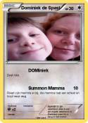 Dominiek de