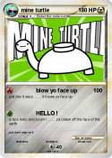 mine turtle