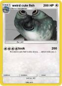 weird cute fish