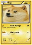 Doge
