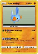 Team.mudkip