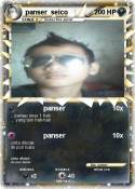 panser seico