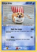 Corgo Ship