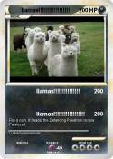 llamas!!!!!!!!!!!!!!!!!!
