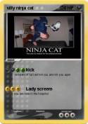 silly ninja cat