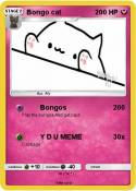 Bongo cat