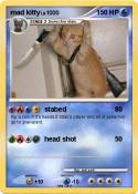 mad kitty