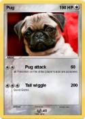 Pug