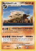 Big Kitten!!!!