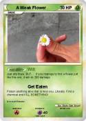 A Weak Flower