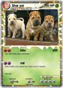 Shar pei