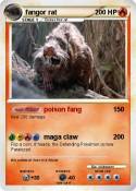 fangor rat