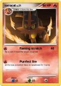 torracat